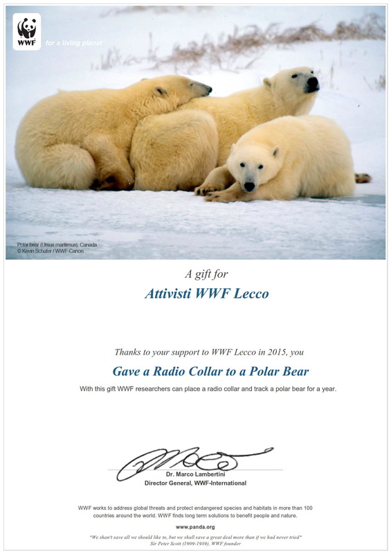 polar_bear_attivisti