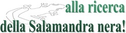 Salamandra nera 15-16/9/2012