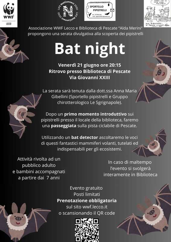 Bat Night 2024