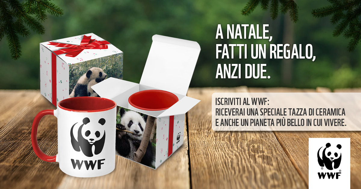 Tazza ceramica WWF